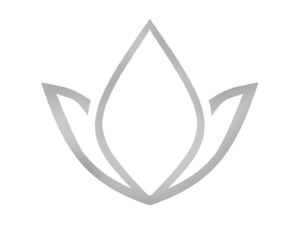 mit logo